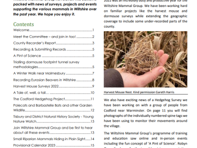 Wiltshire Mammal Group Newsletter 2023